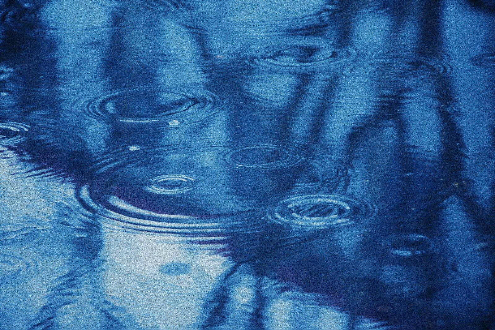 Spring Rainstorm