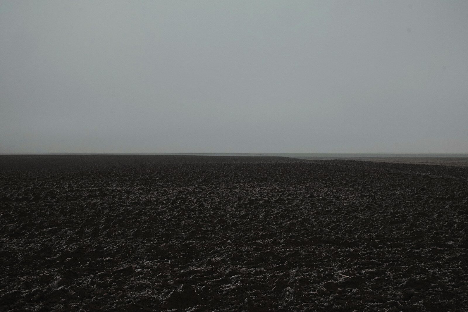 When the field is empty