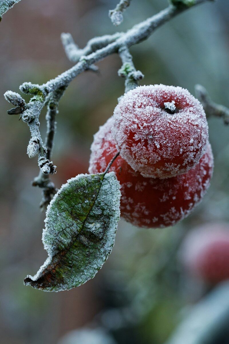 out of season